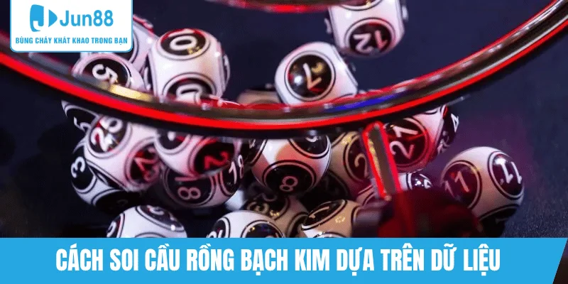 cach-phan-tich-soi-cau-rong-bach-kim-tren-du-lieu