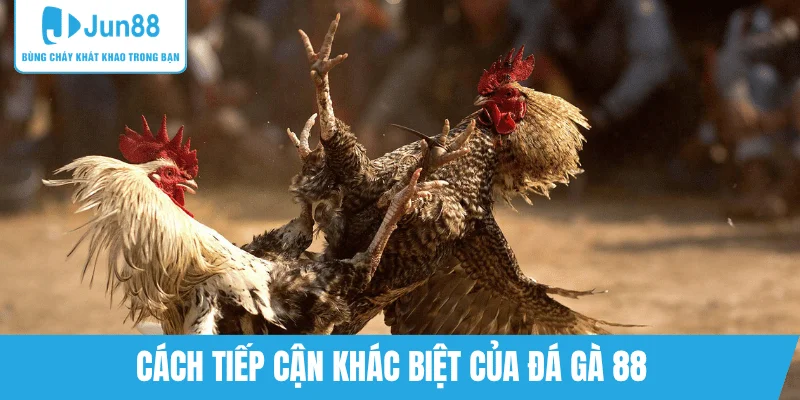cach-tiep-can-da-ga-88-khac-biet