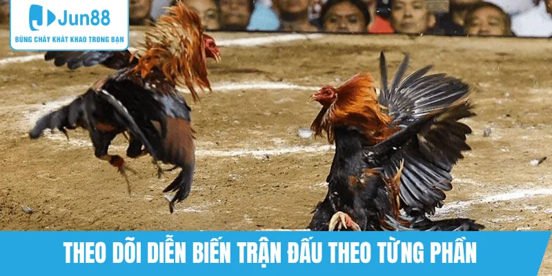 dien-bien-tran-da-ga-88-theo-tung-giai-doan