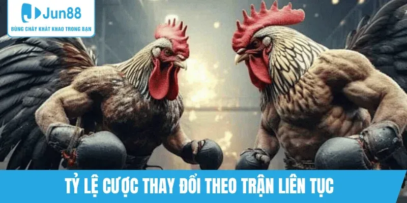 ty-le-cuoc-cap-nhat-nhanh-theo-tran